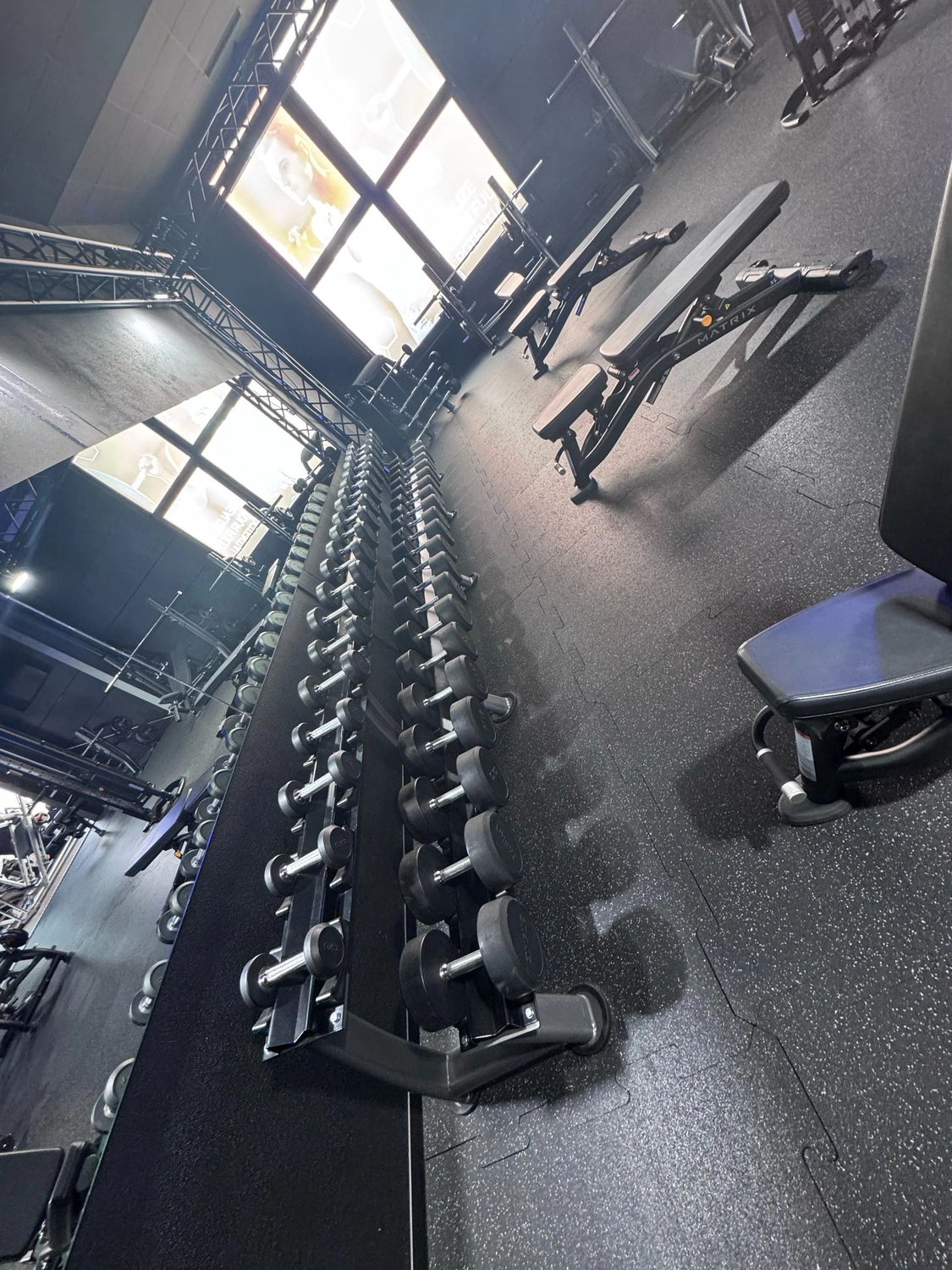  Revive Universal Gym UG – Fitnessstudio – Fitnessgeräte im Studio
